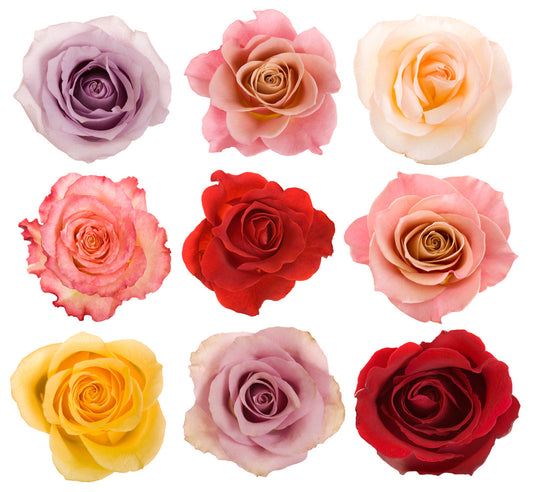 Top Occasions to Buy Bulk Roses (Weddings, Events, and More)