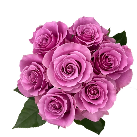 Breathless Roses for events