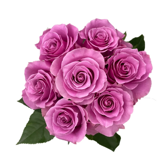 Breathless Roses for events