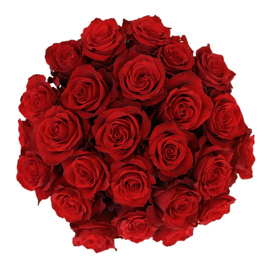Red Roses for events in bulk