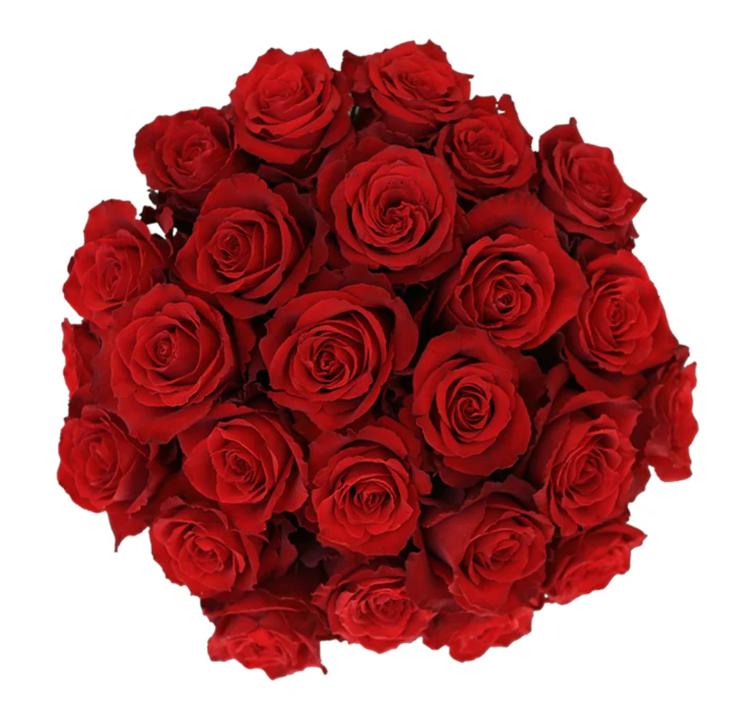 Red Roses for events in bulk