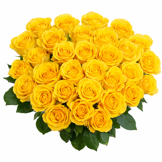 Wholesale yellow roses