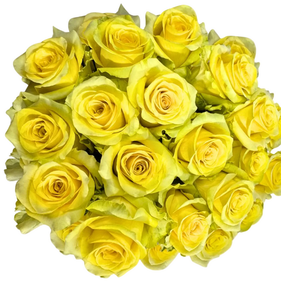 Yellow Roses for Weddings