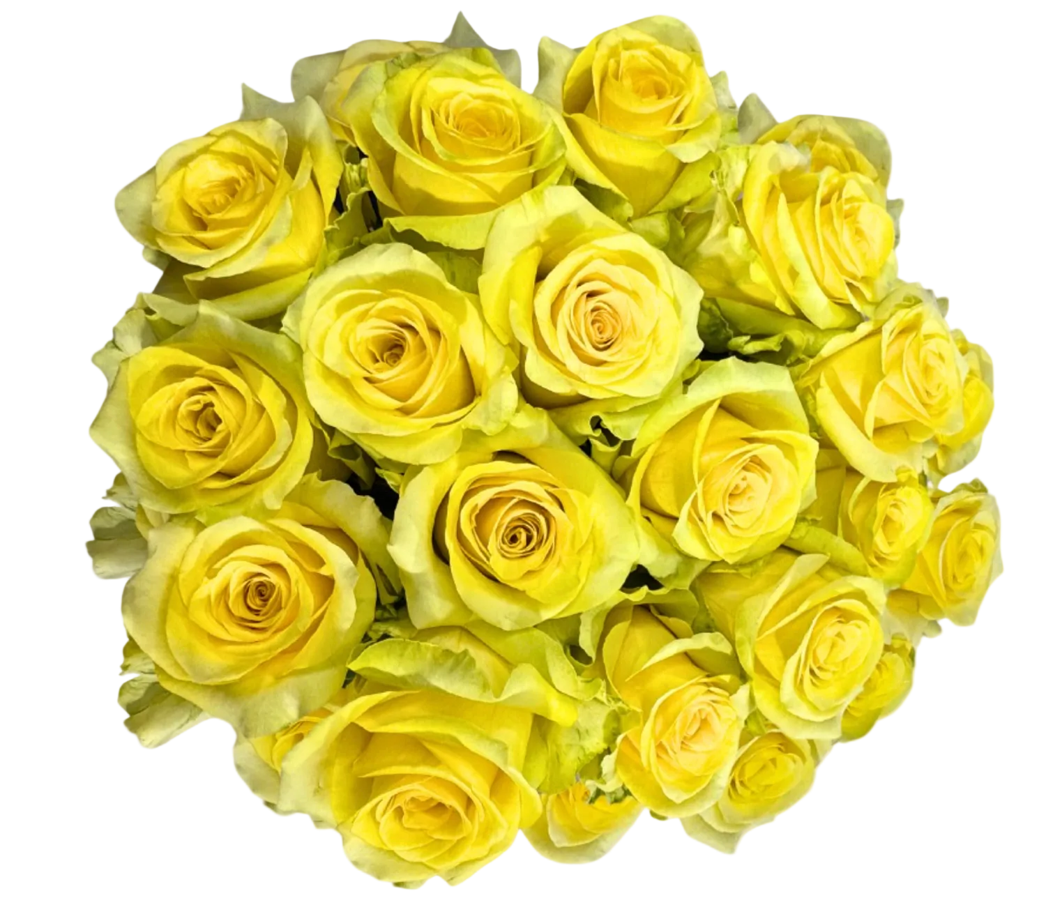 Yellow Roses for Weddings