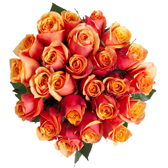 Orange wholesale roses