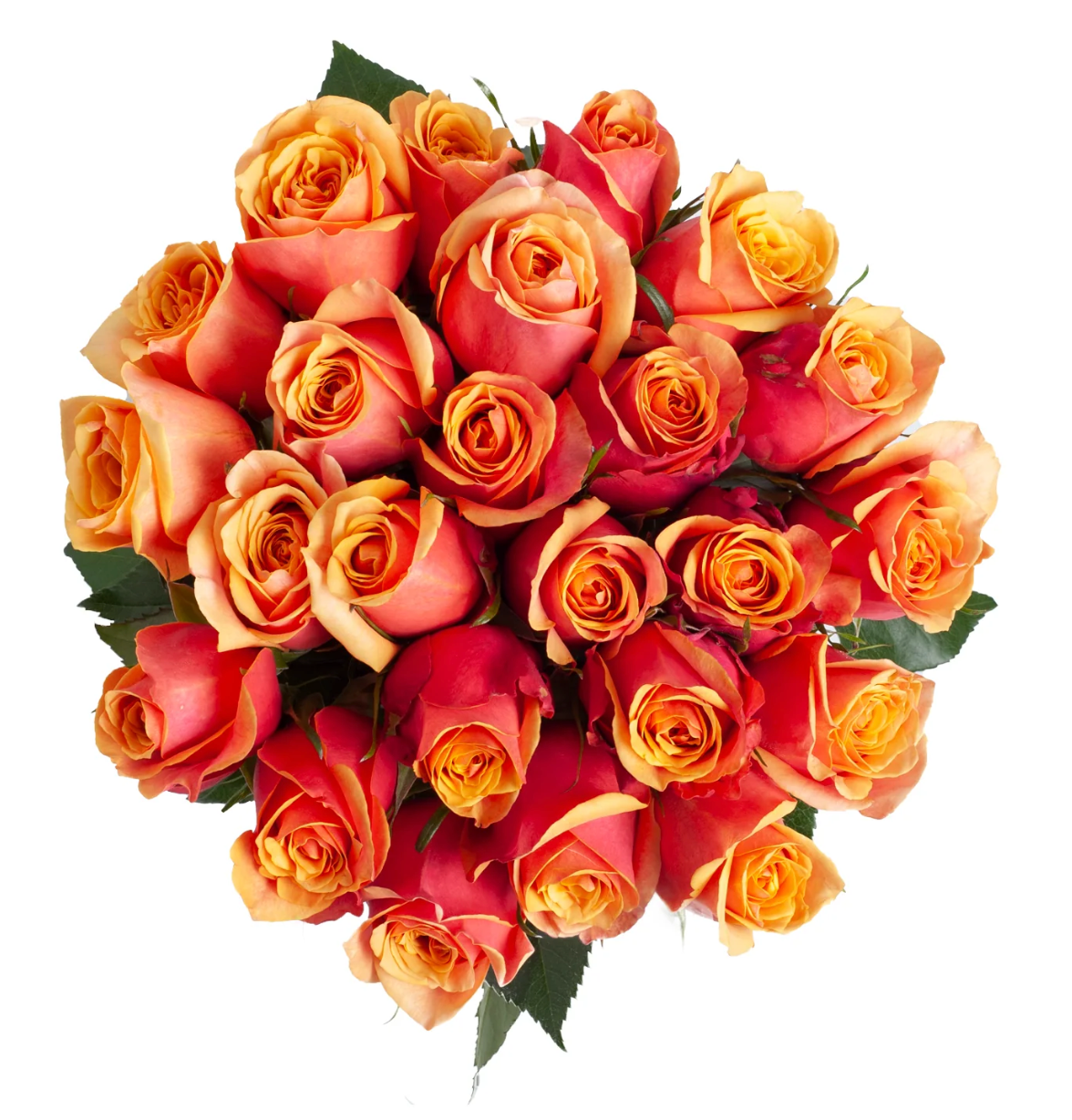 Orange wholesale roses