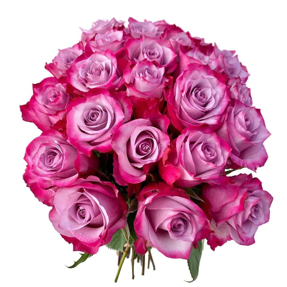Deep Purple Fragrant Roses Deep Purple Roses in Bulk | Fresh Cut Roses for Events – WholesaleRoses.com