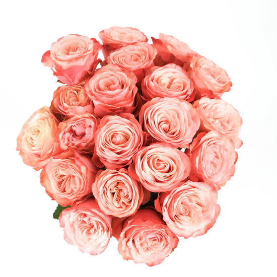 Ah Roses Kahala Roses in Bulk | Fresh Cut Roses for Events – WholesaleRoses.com
