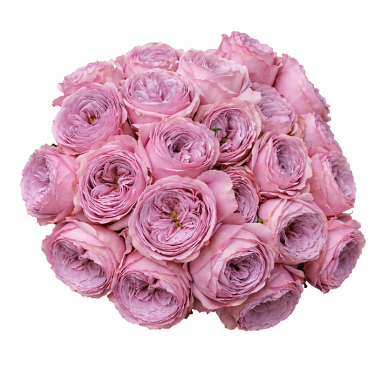 Garden roses for events