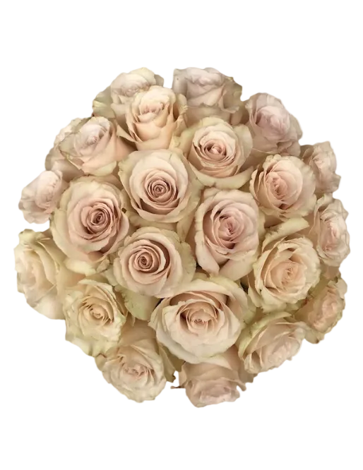 Quicksand roses for events