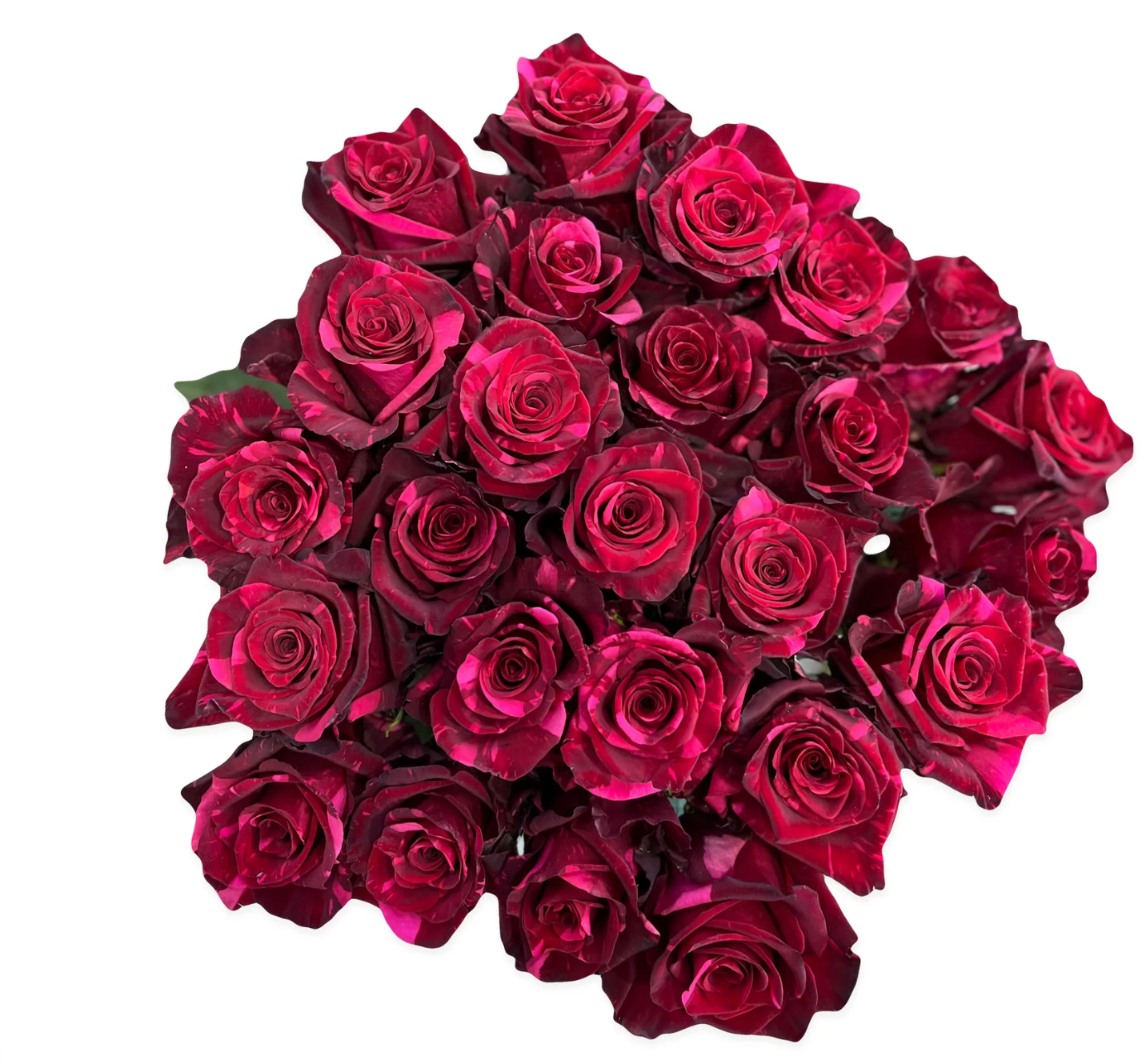 Red Varigated roses in bulk