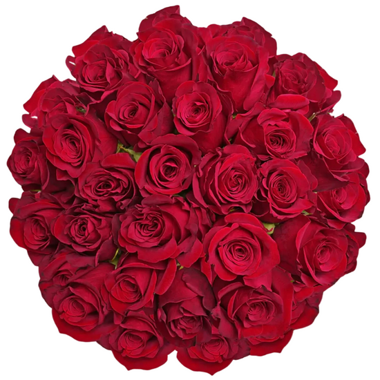 Red roses in bulk for events