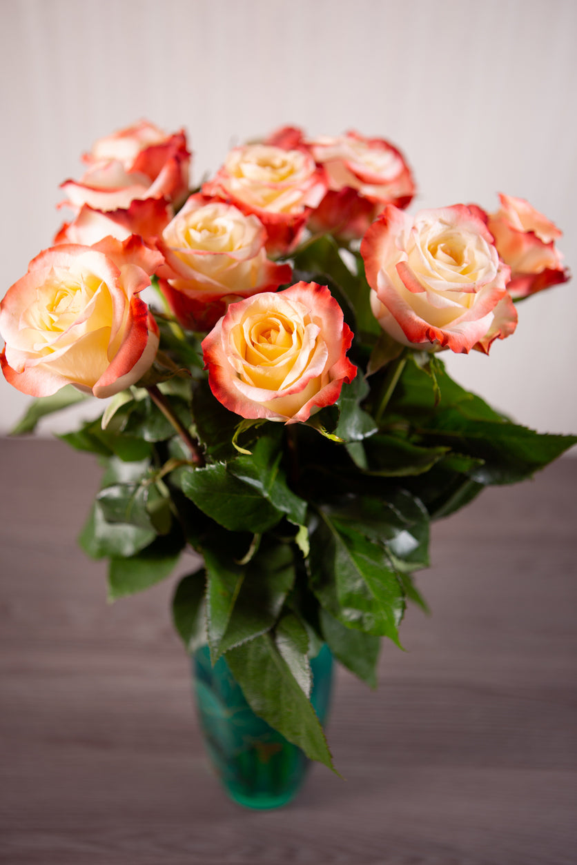Barista Roses in Bulk | Fresh Cut Roses for Events – WholesaleRoses.com