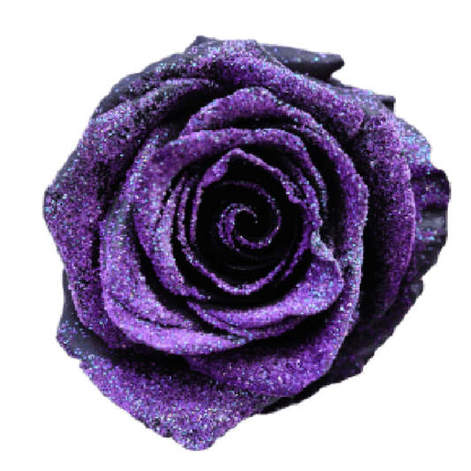 Tinted Cotton Candy Roses