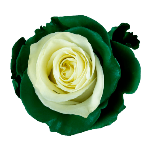 Tinted Dark Green Soul Roses