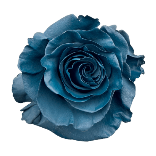 Blue T Intend Roses Blue Palette Tinted Roses – WholesaleRoses.com