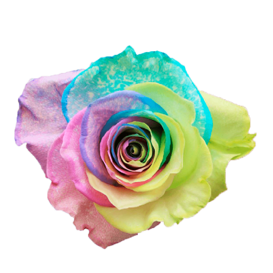 Tinted Fancy Cake Roses