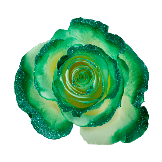 Tinted Frosty Green Roses