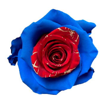 Tinted Garland Roses