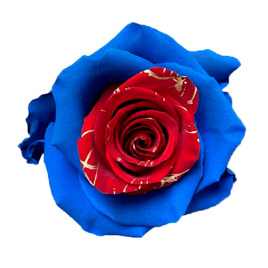 Tinted Garland Roses