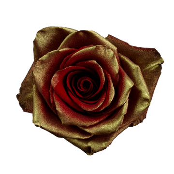 Tinted Golden Fancy Roses