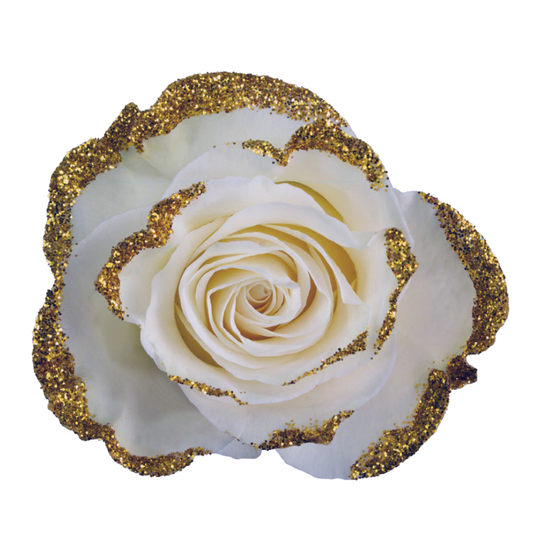 Tinted Golden Frosty Roses