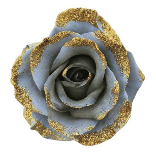Tinted Gold Argento Roses