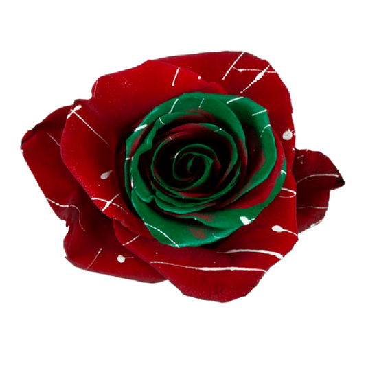 Tinted Green & White Soul Roses