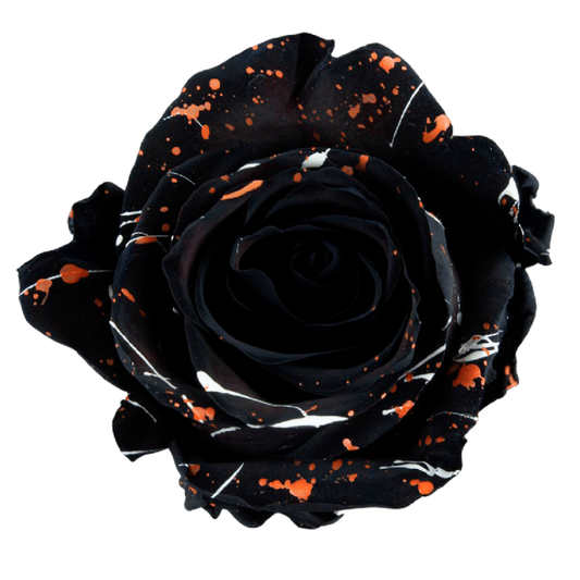 Tinted Halloween Halfety Roses