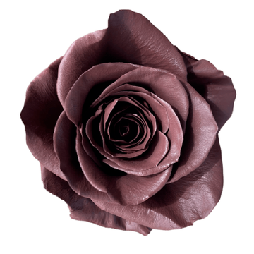 Tinted Kenkenes Roses