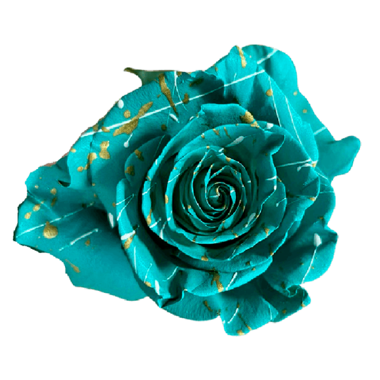 Tinted Mint Burst Roses