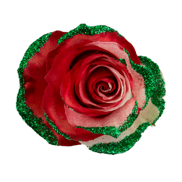 Tinted Mother's Love Green Frosty Roses