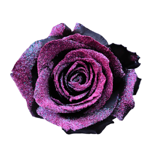 Tinted Pink Neon Roses