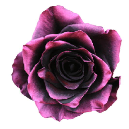 Tinted Purple Glass Roses