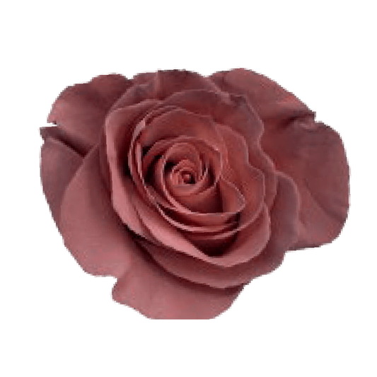 Tinted Salted Caramel Roses