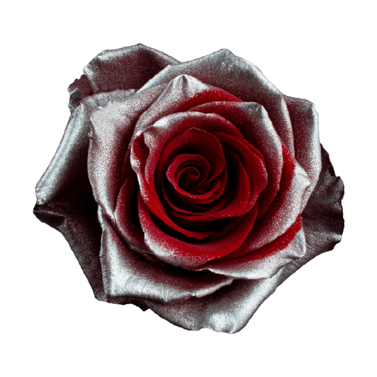 Tinted Silver Fancy Roses