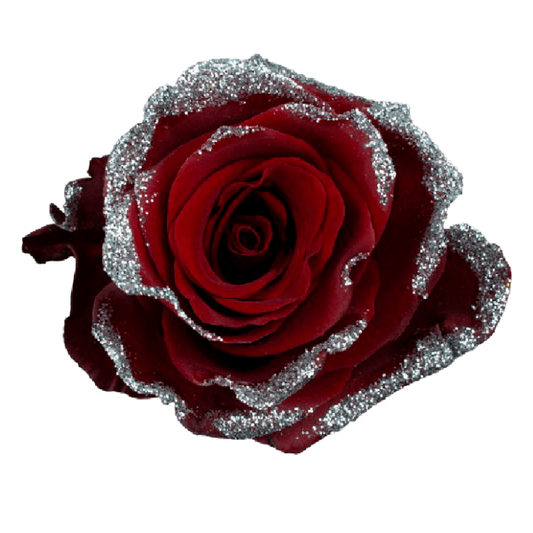 Tinted Silver Frosty Roses