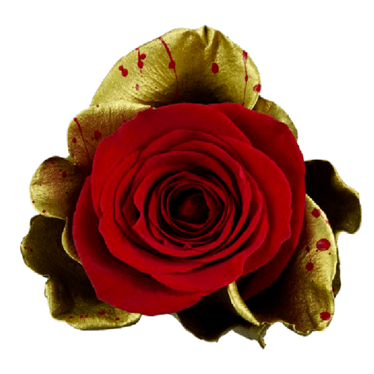 Tinted Soul Golden Star Roses