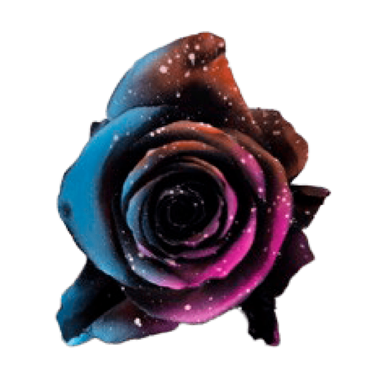 Tinted Starry Nebula Roses